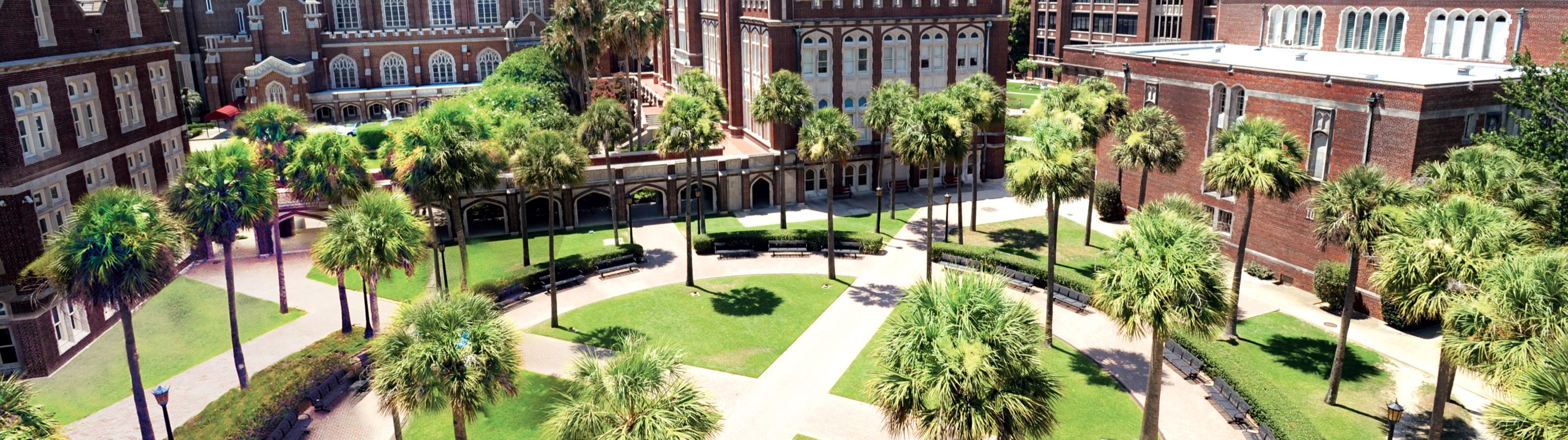Image of Palm Court on campus