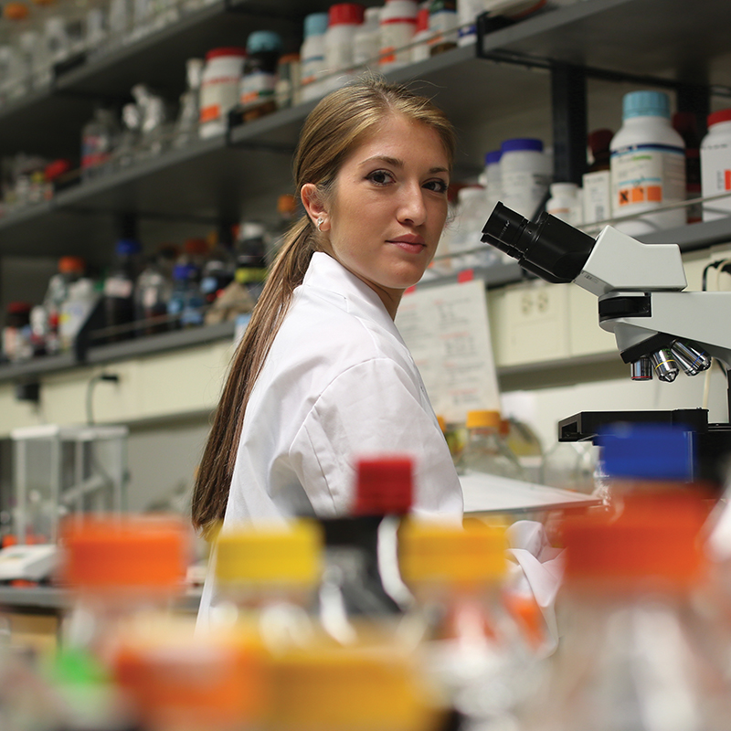 Annalisa Sega on microscope