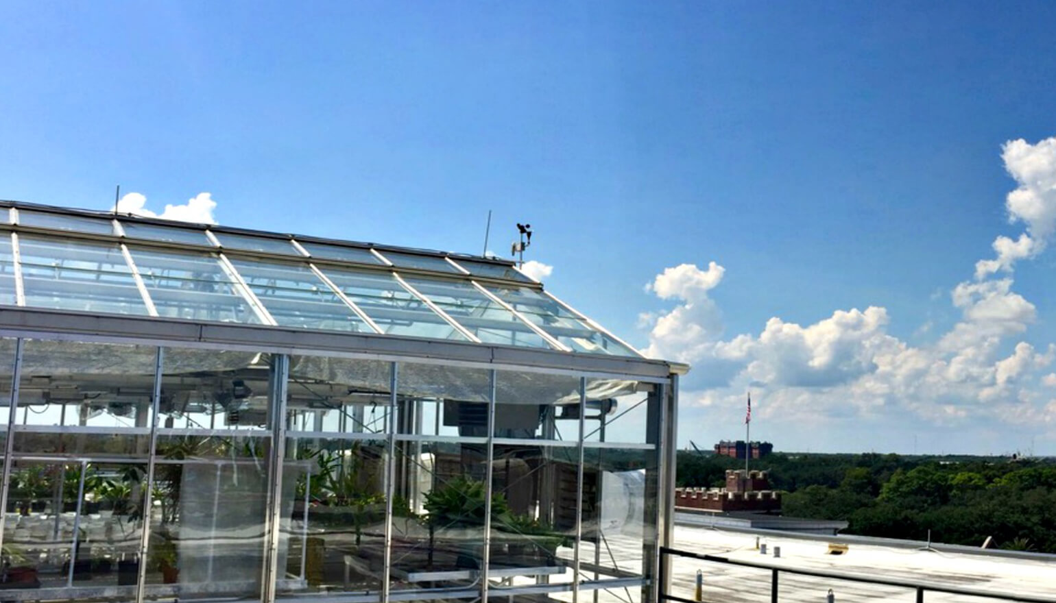 View of rooftop greenhouse