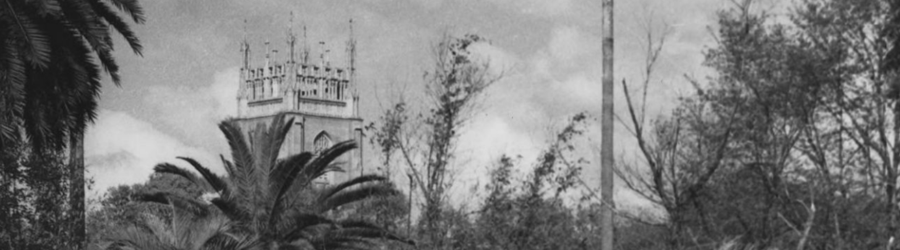 Vintage photo of Holy Name from Audubon Park