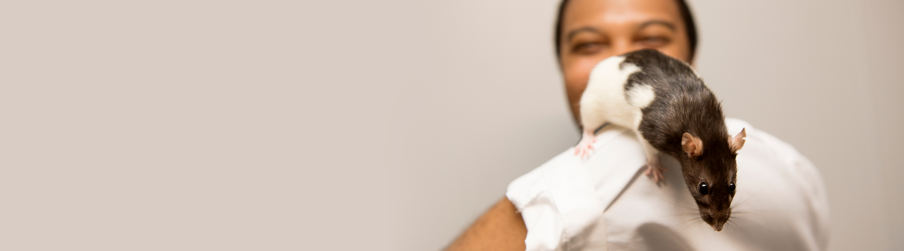 Lab scientist holding rat