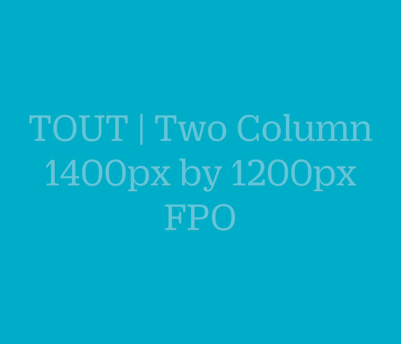 FPO Tout Two Column