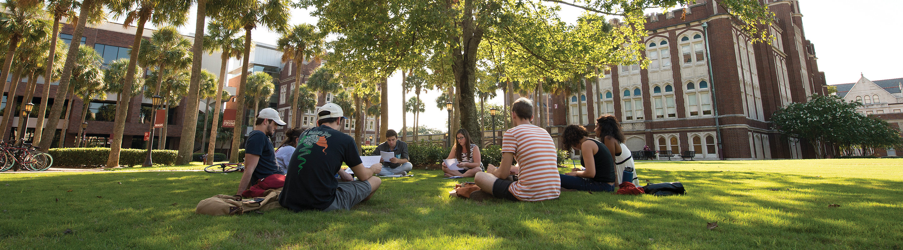 Students Studying Outside