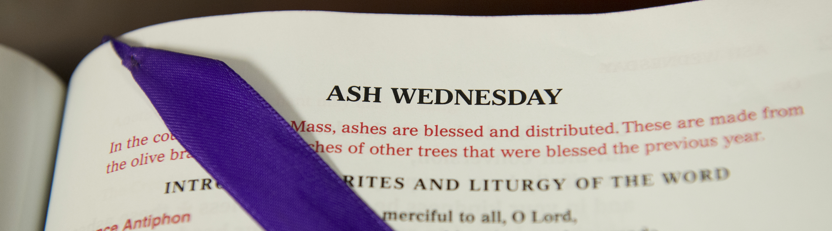 Liturgical Text for Ash WednesdayAsh Wednesday 