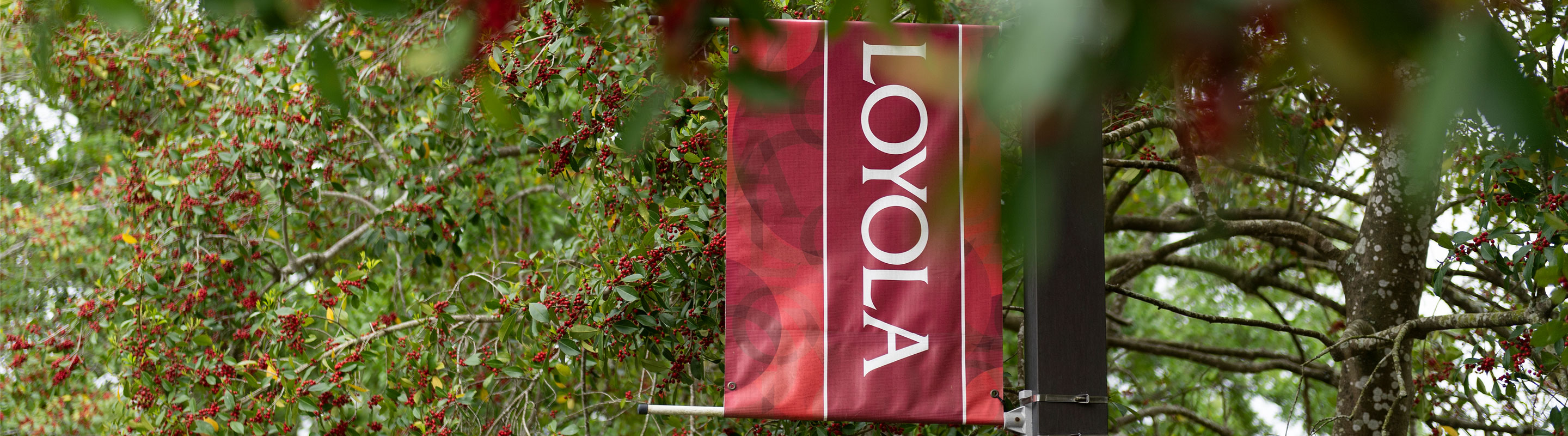 Loyola Flag Banner