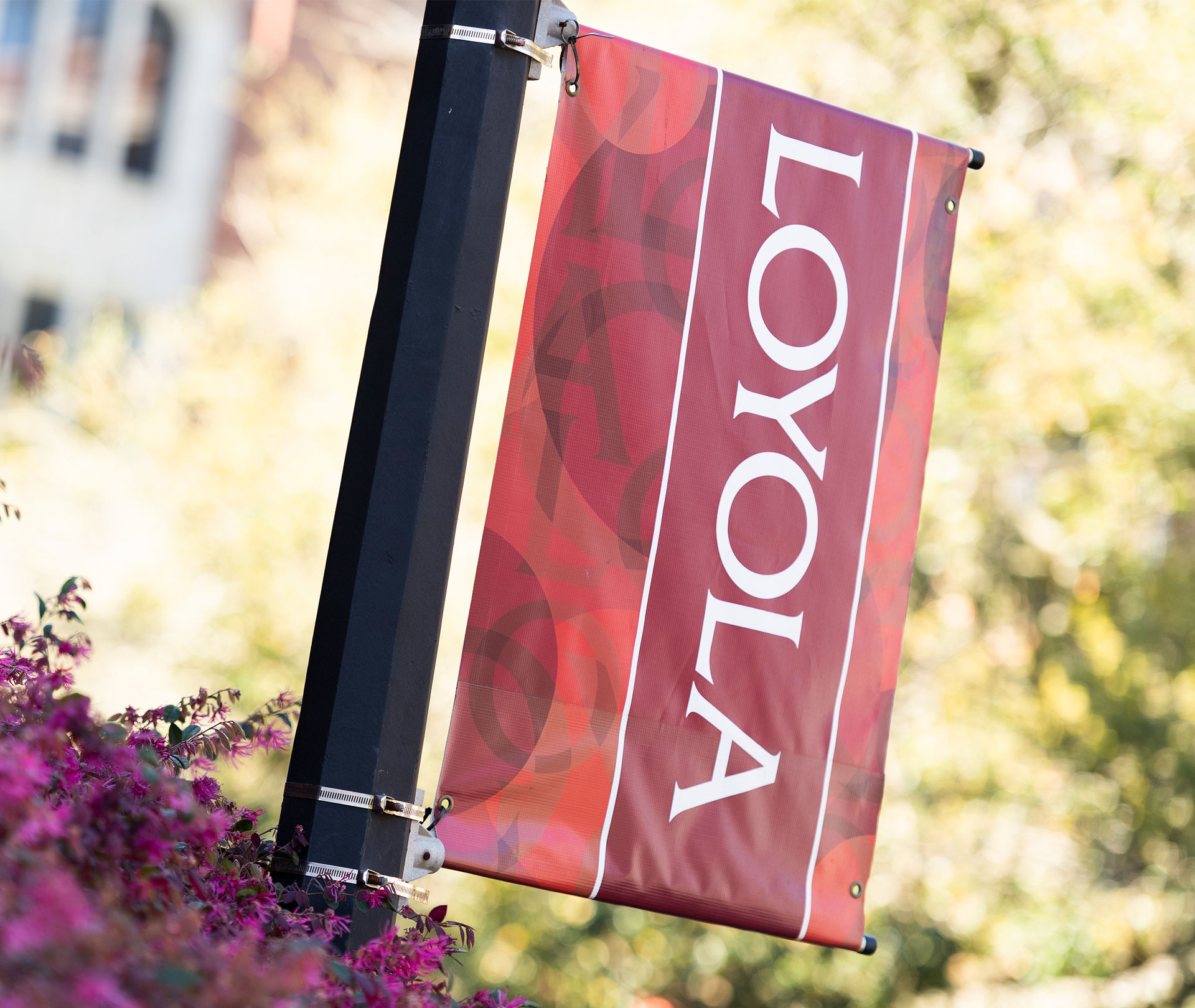 Loyola Pole Banner