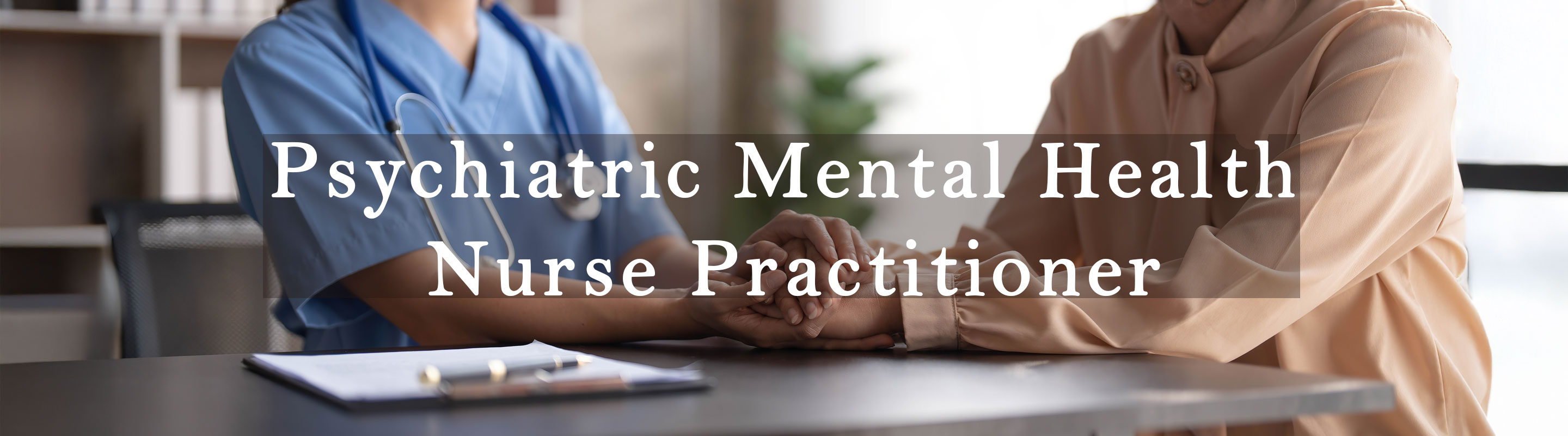 MSN psychiatric mental health nurse practitioner program