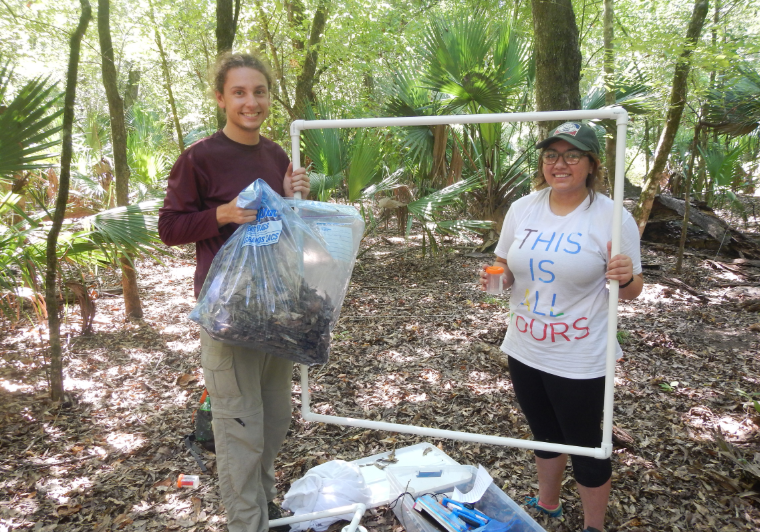 Biology students' field research 